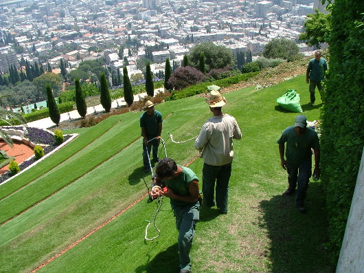 Teamsport: Rasenm&auml;hen am Hang