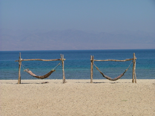 Zwei soziale H&auml;ngematten