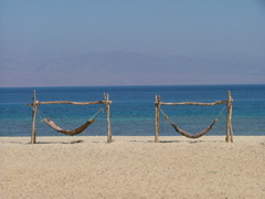 Zwei soziale Hängematten