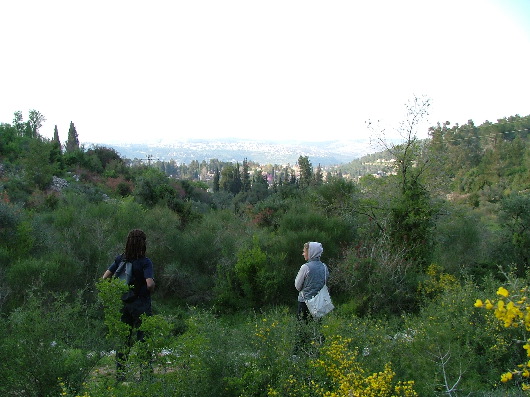 Blick auf Jerusalem