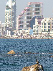 Isroteltower (links), Operatower (mitte), Vogel auf Stein (vorne), von Jaffa aus gesehen