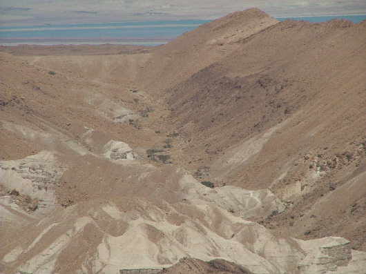 Die W&uuml;ste lebt, das Meer ist tot.