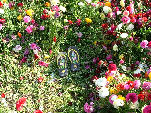 Kaputte, liegengelassene Flip-Flops