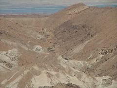 Die W&uuml;ste lebt, das Meer ist tot.