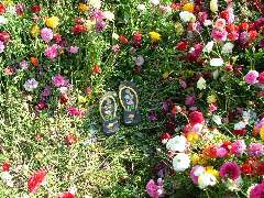 Kaputte, liegengelassene Flip-Flops