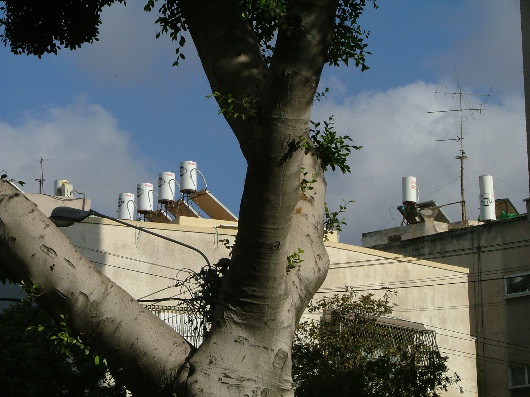 Noch mehr Solarwarmwasserbereiterbeh&auml;lter (hebr. "Dod")