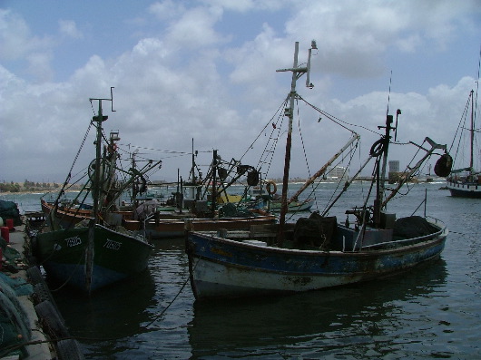 k&ouml;nnte in jedem Fischereiort der Welt sein...