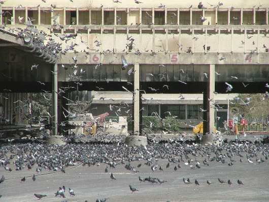 The Real Markusplatz (Kornsilo in Haifa)
