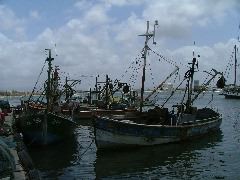 k&ouml;nnte in jedem Fischereiort der Welt sein...