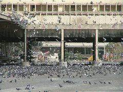 The Real Markusplatz (Kornsilo in Haifa)