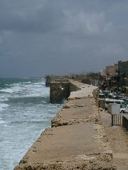 Auf der Mauer, auf der Lauer...