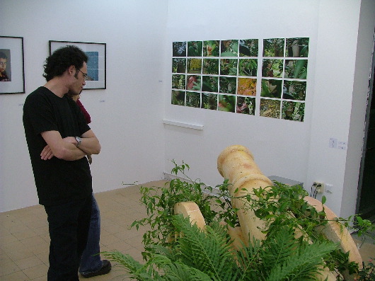 mehr Kunst